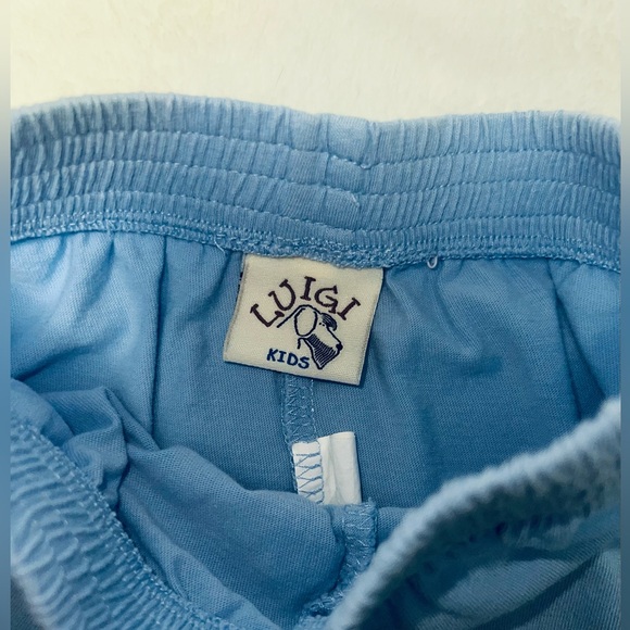 Luigi Kids sea turtle top and shorts outfit, size 3T, EUC - Picture 4 of 5